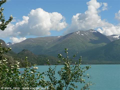 Kenai Peninsula - along the Sterling Highway