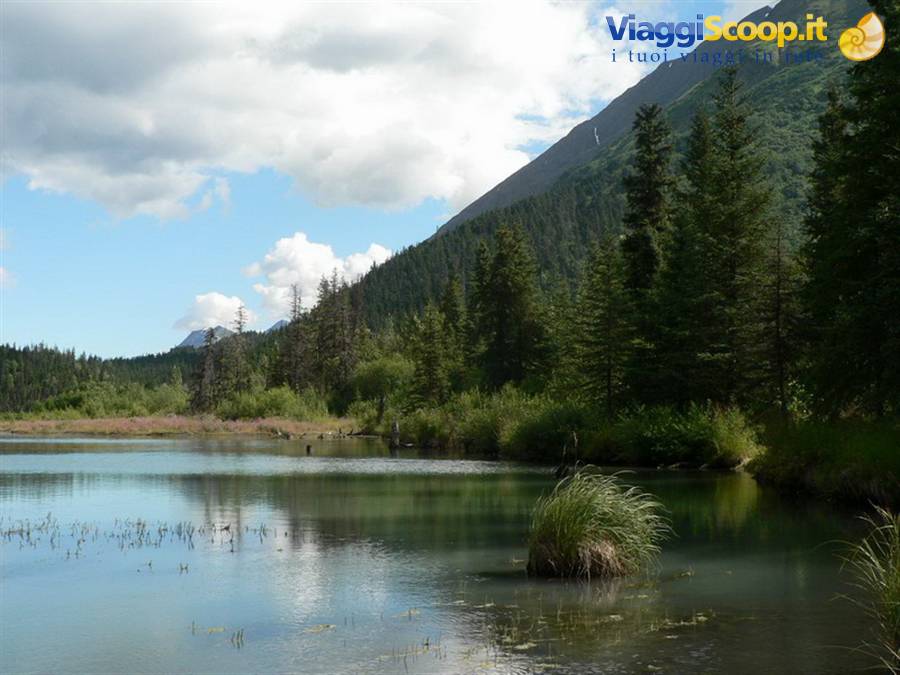 Kenai Peninsula - along the Sterling Highway