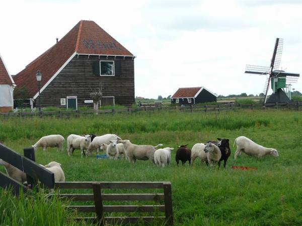 Zaanse Schans