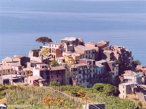 The village of Corniglia climbing towards Sella della Croce