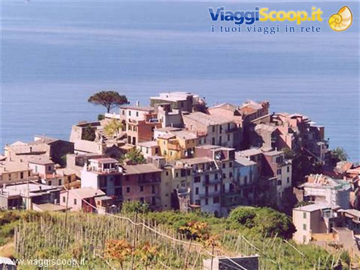 The village of Corniglia climbing towards Sella della Croce
