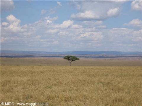 Masai Mara Park landscape