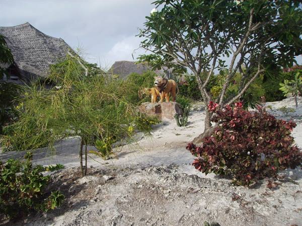 Lion statues on a rock among tropical plants and white sand