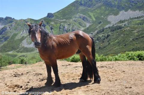 Asturias