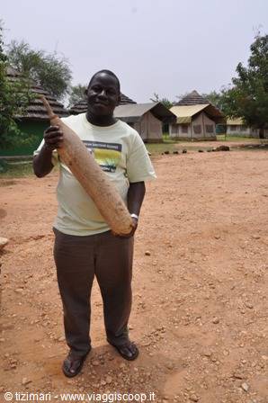 Joel at the red Chilli camp with the seed of the sausage tree
