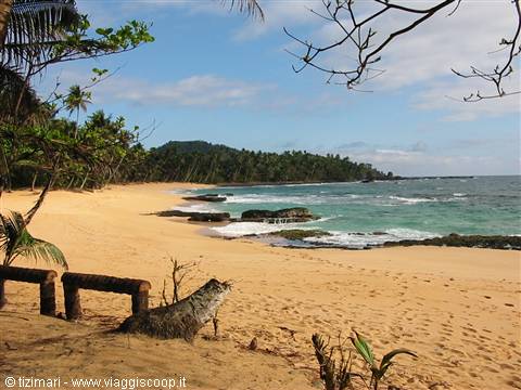 Praia Jalé ... where the turtles dare