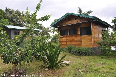 Wooden bungalow with green roof among agave plants and fruit trees