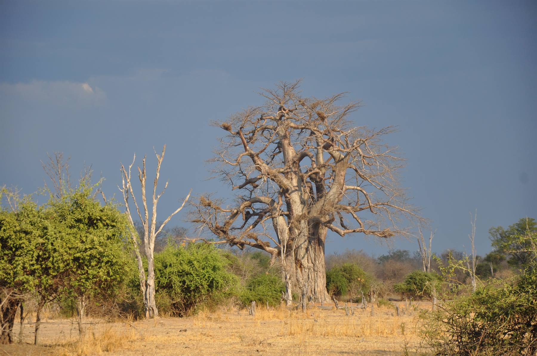 South Lwangwe National Park