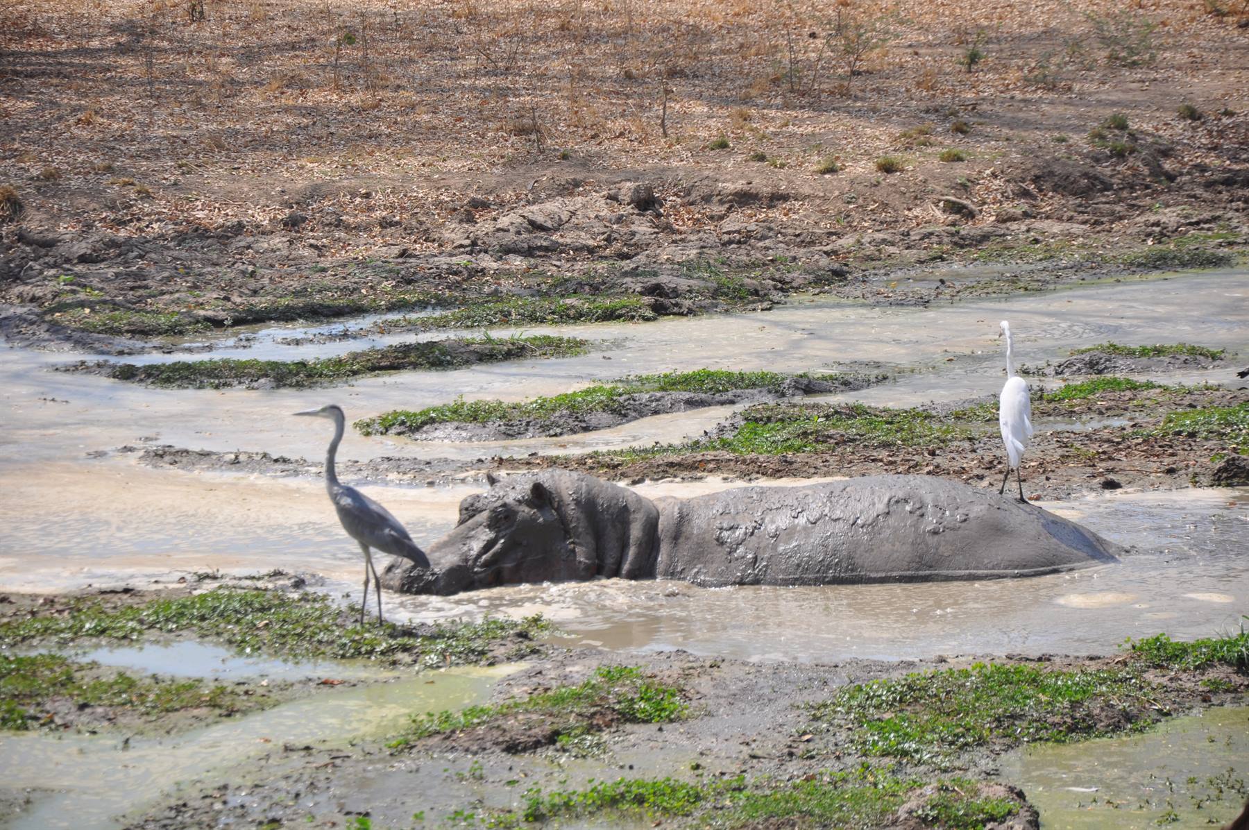 South Lwangwe National Park