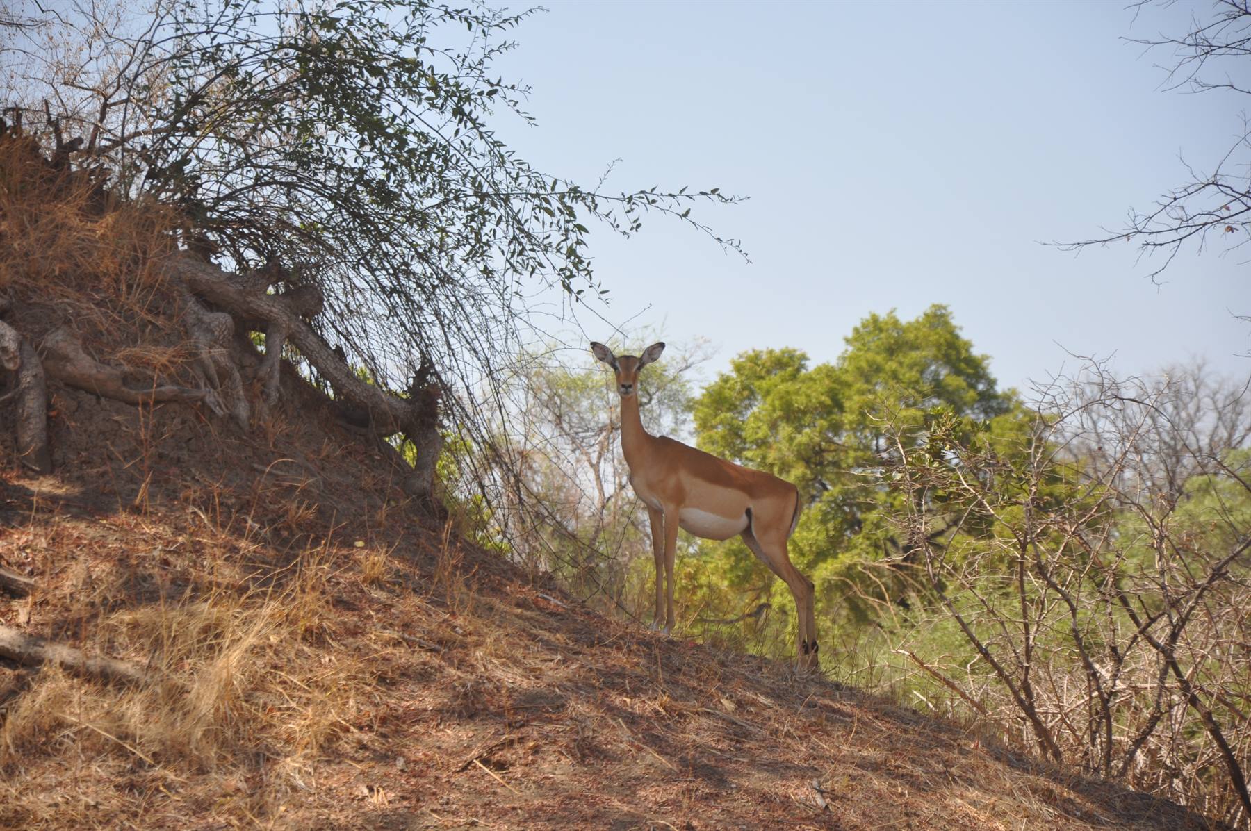 South Lwangwe National Park