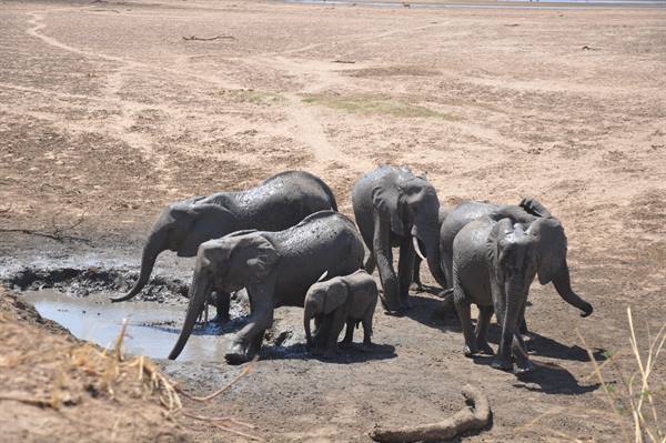 South Lwangwa National Park