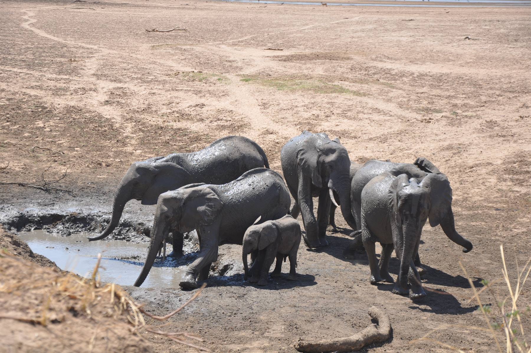 South Lwangwe National Park