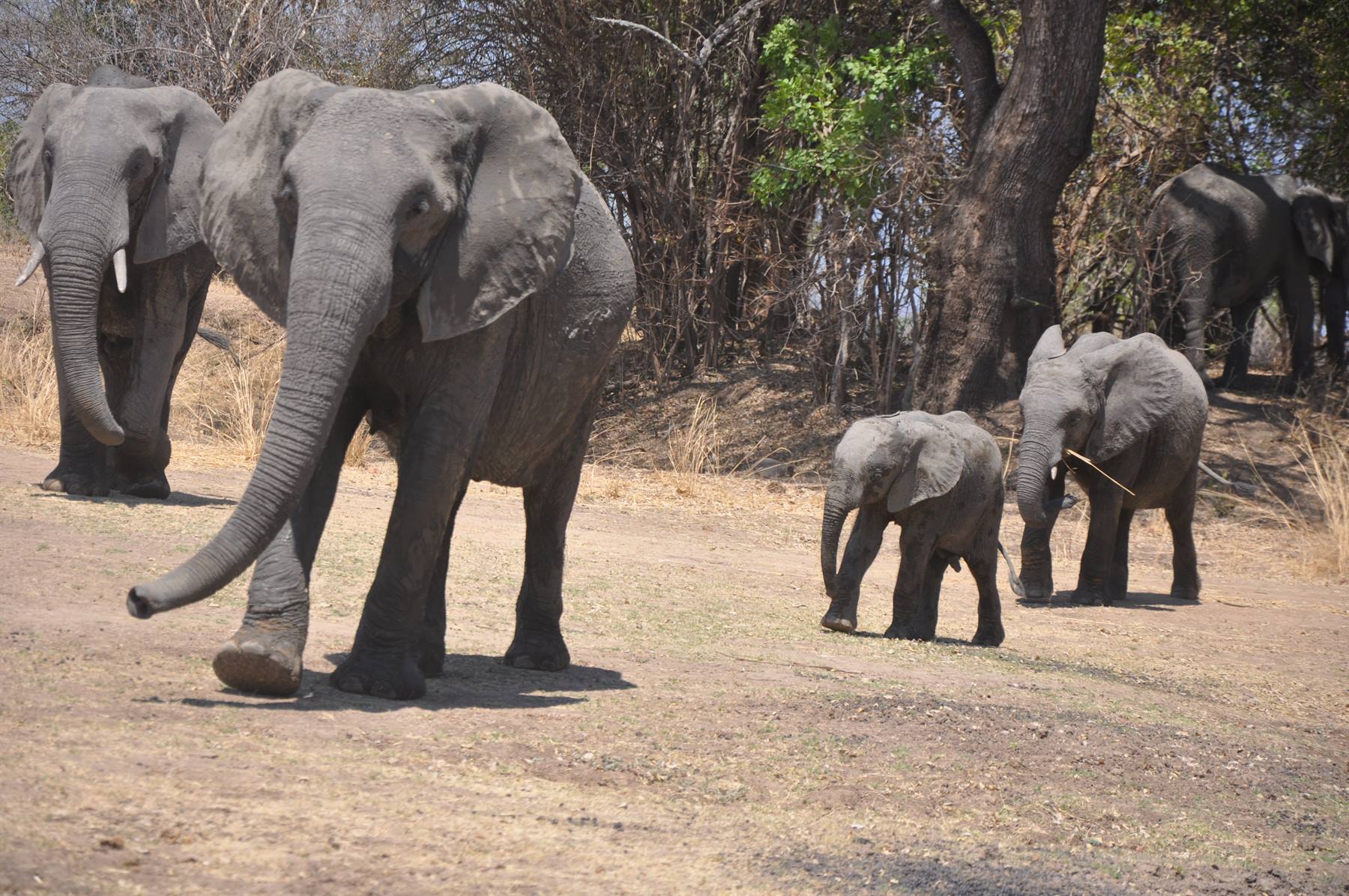 South Lwangwe National Park