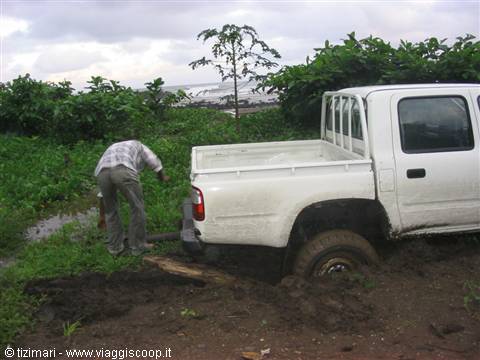The risks of travelling in marshy areas