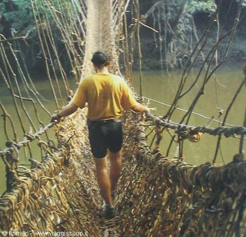 Vine bridge at Silissou