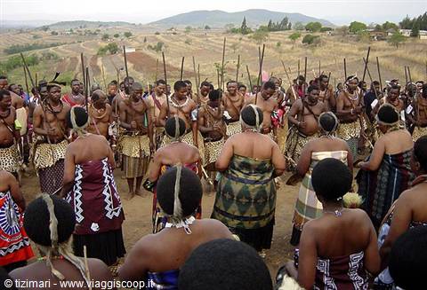 Zulu dancers in fur skirts and shields, traditional ceremony on dry hills