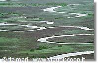 Okavango Delta
