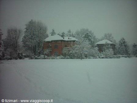 Red-brick villa surrounded by snow, whitened trees, gray sky