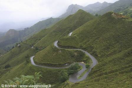 Winding asphalt road curving through misty green mountains