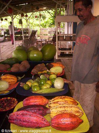 the fruits of the roça