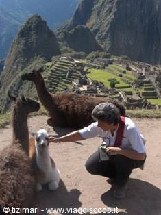 the gardeners of machu picchu