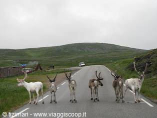 Towards North Cape