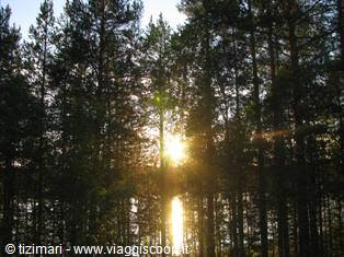 Lapland, towards Rovaniemi