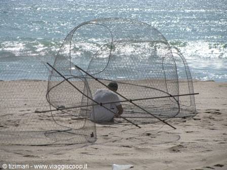 South coast Nasse for lobster fishing