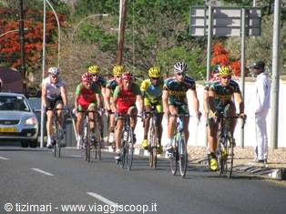 Cyclists racing pedal on asphalt road among trees and red flowers