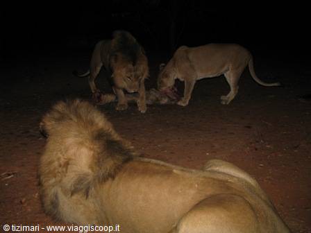 Mount Etjo night-time meal