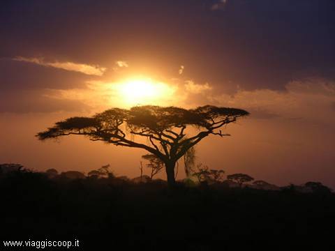 A sunset in Amboseli park