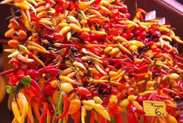 Strings of red, yellow and orange chili peppers hanging at a market, priced 6 euros