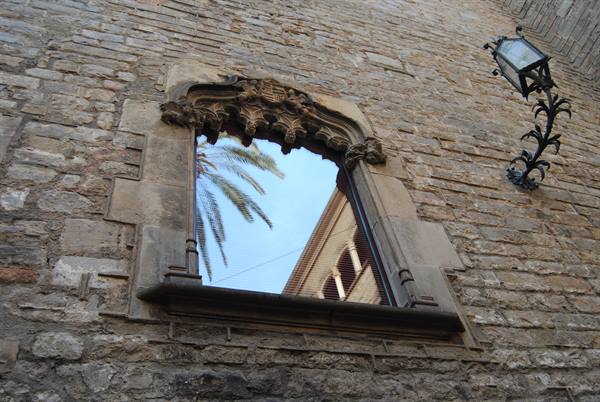 Gothic stone window reflecting a palm tree, wrought-iron lantern on wall