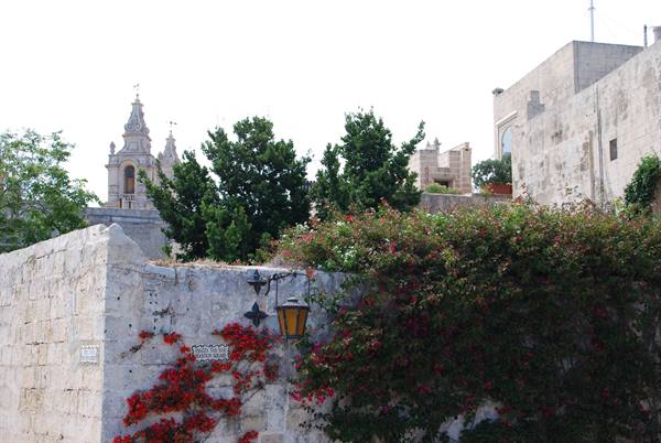 Views of Mdina 