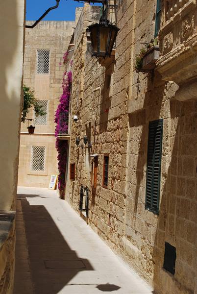 Views of Mdina 