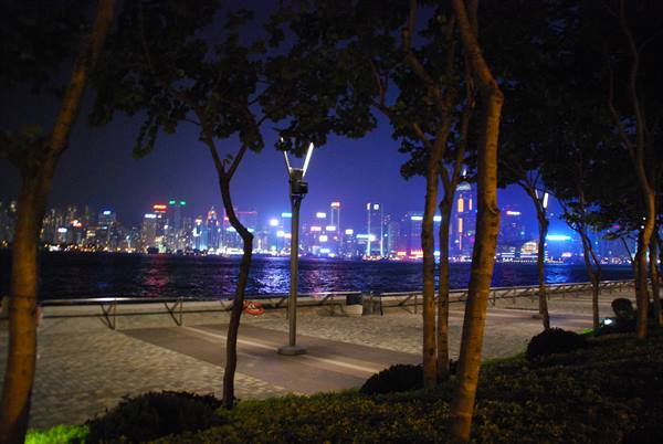 Illuminated skyscrapers of Victoria Harbour seen from a tree-lined waterfront promenade at night