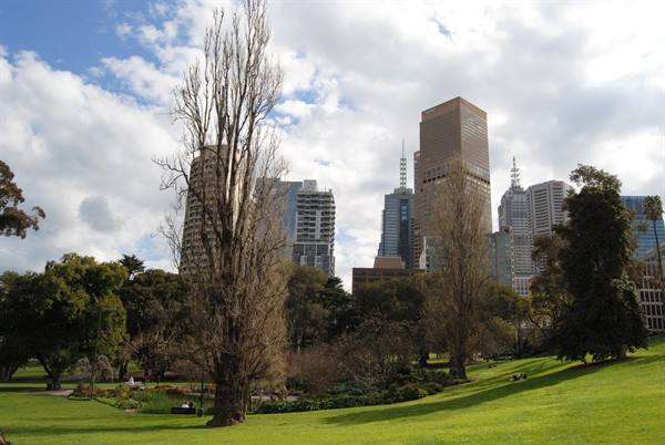 Giardino verde con alberi spogli e grattacieli del centro di Melbourne