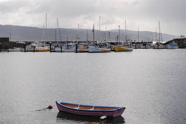 Piccola barca rosa alla banchina del porto di Apollo Bay