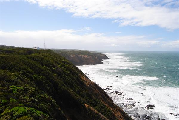 Scogliere coperte di vegetazione e onde spumeggianti a Cape Otway