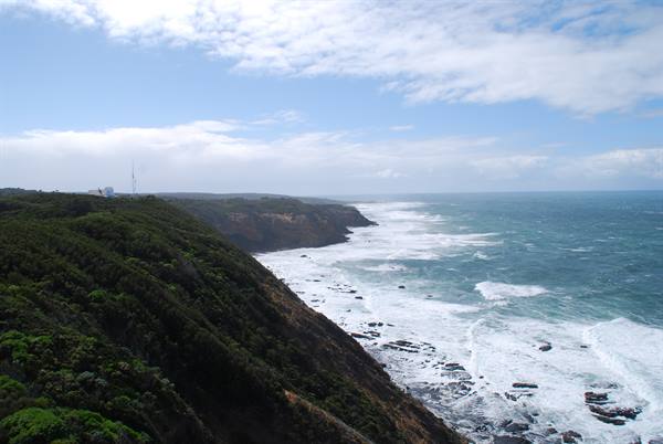 Scogliere verdi e onde schiumose lungo la costa di Cape Otway