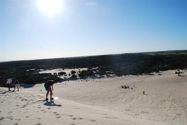 Turisti scendono le dune di sabbia bianca di Kangaroo Island