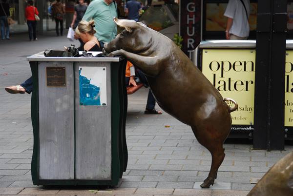 Scrofa di bronzo con zampi sul cestino, Rundle Mall, Adelaide