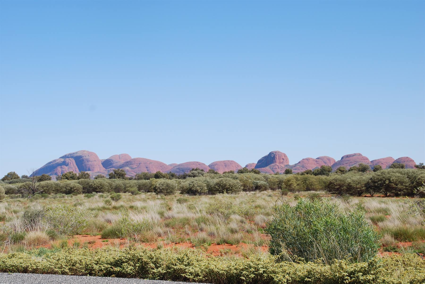 Le Olgas (Kata Tjuta) tra arbusti e sabbia rossa