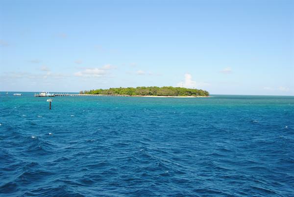Green Island