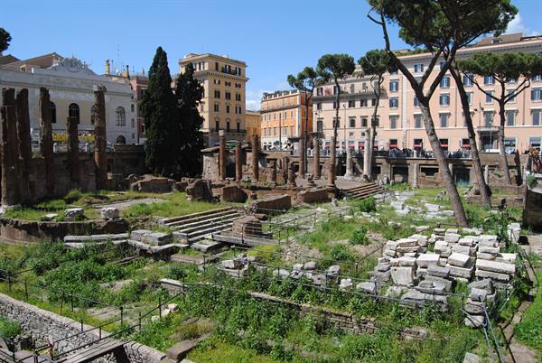 The Sacred Area of Largo di Torre Argentina