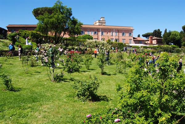Visitors among roses at Rome's Rose Garden, historic building and trees behind