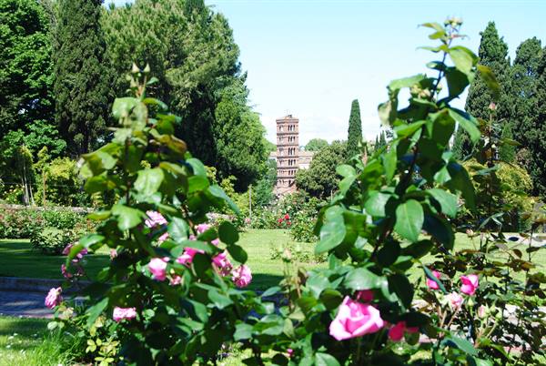 Blooming rose bushes at Rome's Rose Garden, Torre delle Milizie in the background