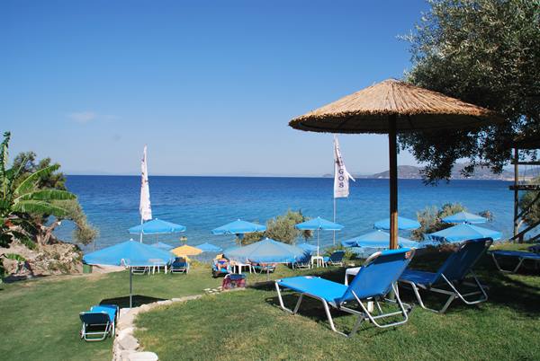Blue umbrellas and sun loungers on grass by the turquoise sea