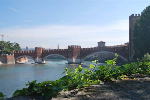 Brick Scaligero Bridge over the Adige in Verona, green leaves in foreground