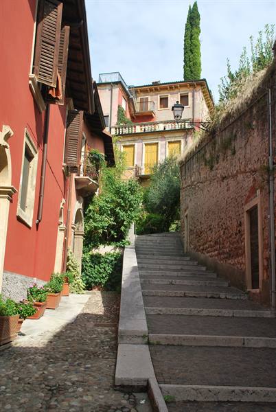 Stone staircase between ochre and pink houses, flower pots, tall cypress